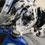 amylouise980's Avatar'
