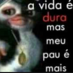 Vn1ne's Avatar'