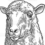 Sheep-chan's Avatar'