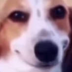 PlasmaticzzzTTV's Avatar'