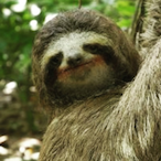 I DirtyRic3's Avatar'