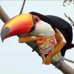 OPToucan's Avatar'