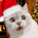 DiokokL's Avatar'