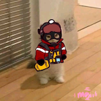 sman_steel's Avatar'