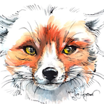 Theredfox9300's Avatar'