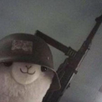 llama_what's Avatar'