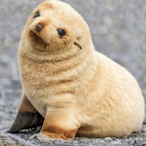 I hate slm's Avatar'