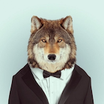 ZverBey's Avatar'