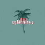 Sotarnicus's Avatar'