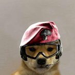 PolonezAtu's Avatar'