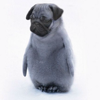 Puguin's Avatar'