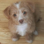 Miss-Rabbit.'s Avatar'