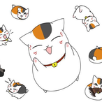 q6Nyanko's Avatar'