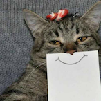 IMZhangDeShuai's Avatar'