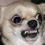 KelifuQQ's Avatar'
