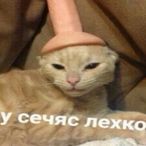 k0kstin's Avatar'