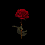 MxndyM's Avatar'