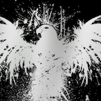Logicalsmatter's Avatar'