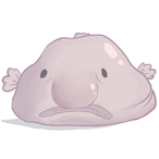 blobblob6661's Avatar'