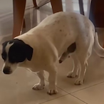 cMenSoldier's Avatar'