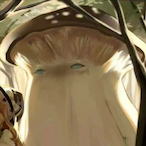 We_need_Potato's Avatar'