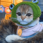 IvanRabinovich's Avatar'