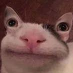glxckkswungU's Avatar'