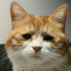 KirisameShinji's Avatar'