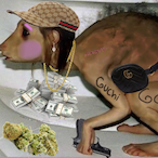 d0gsnopen2's Avatar'