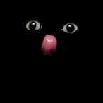FM.LZHH's Avatar'