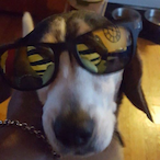 COD_fun's Avatar'