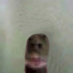 Gonalex.'s Avatar'