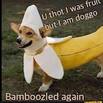 Copper_Doggo's Avatar'