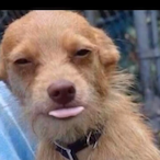 urialI's Avatar'