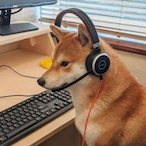 MeepIRXX's Avatar'