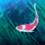 TheKoister's Avatar'