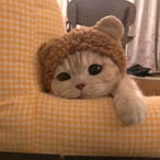 happygame1's Avatar'