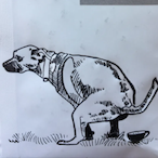 Dog.On144Hz's Avatar'
