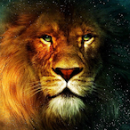 Mystery_17's Avatar'