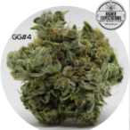 Mixxinitup's Avatar'