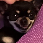 puIIn 4ks's Avatar'
