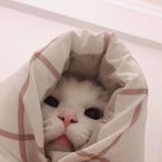 kinIeigh's Avatar'