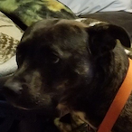 ROK_Wizardxx's Avatar'