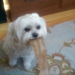 xxxGoob's Avatar'