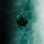 NoLxve1043's Avatar'