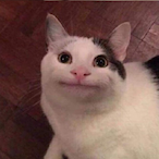 winner_jun's Avatar'