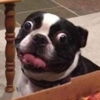 hunhorv152's Avatar'