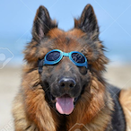 SirGuntherIII's Avatar'