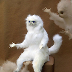 likable sab's Avatar'