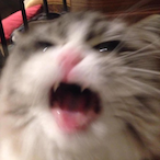 Giwawaisalien's Avatar'